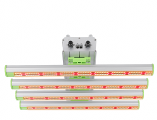200W Full Spectrum LED Plant Grow light